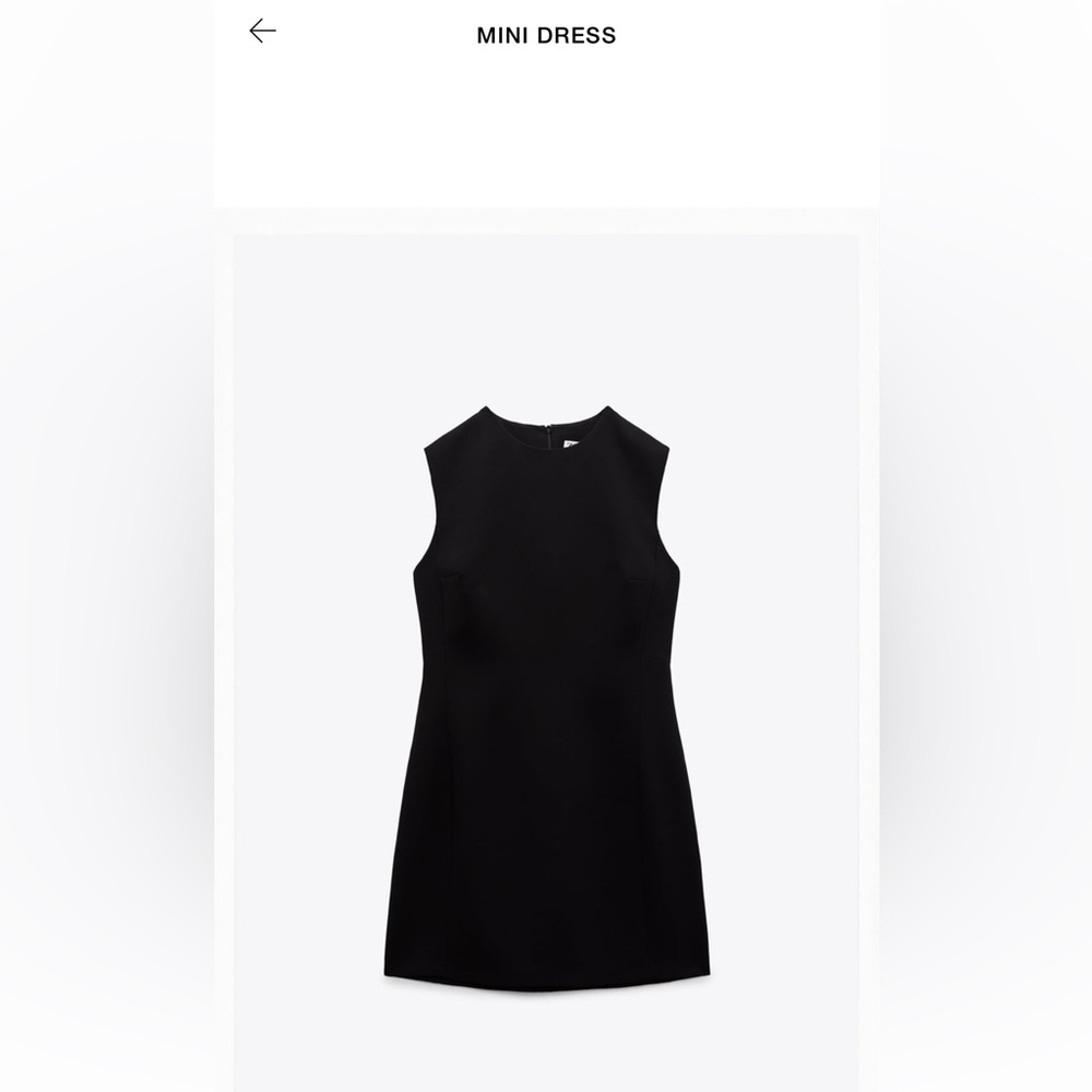 ZARA Mini Dress